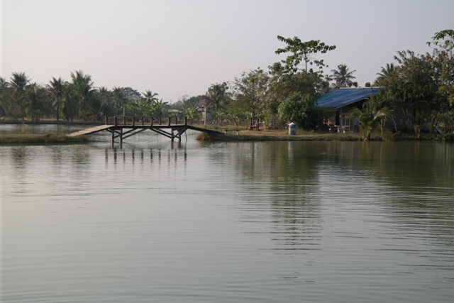 Amazon Lake