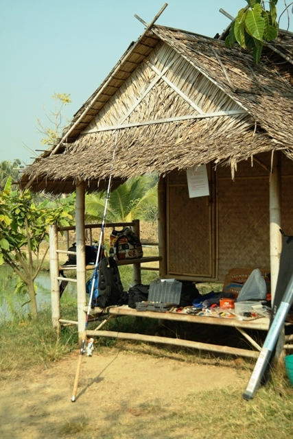 Amazon Lake
