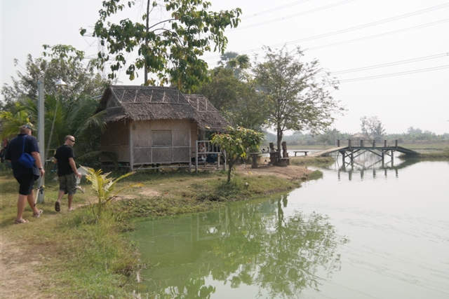 Amazon Lake