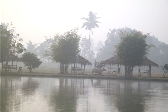 Amazon Lake